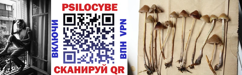 Псилоцибиновые грибы Psilocybine cubensis  Минеральные Воды 
